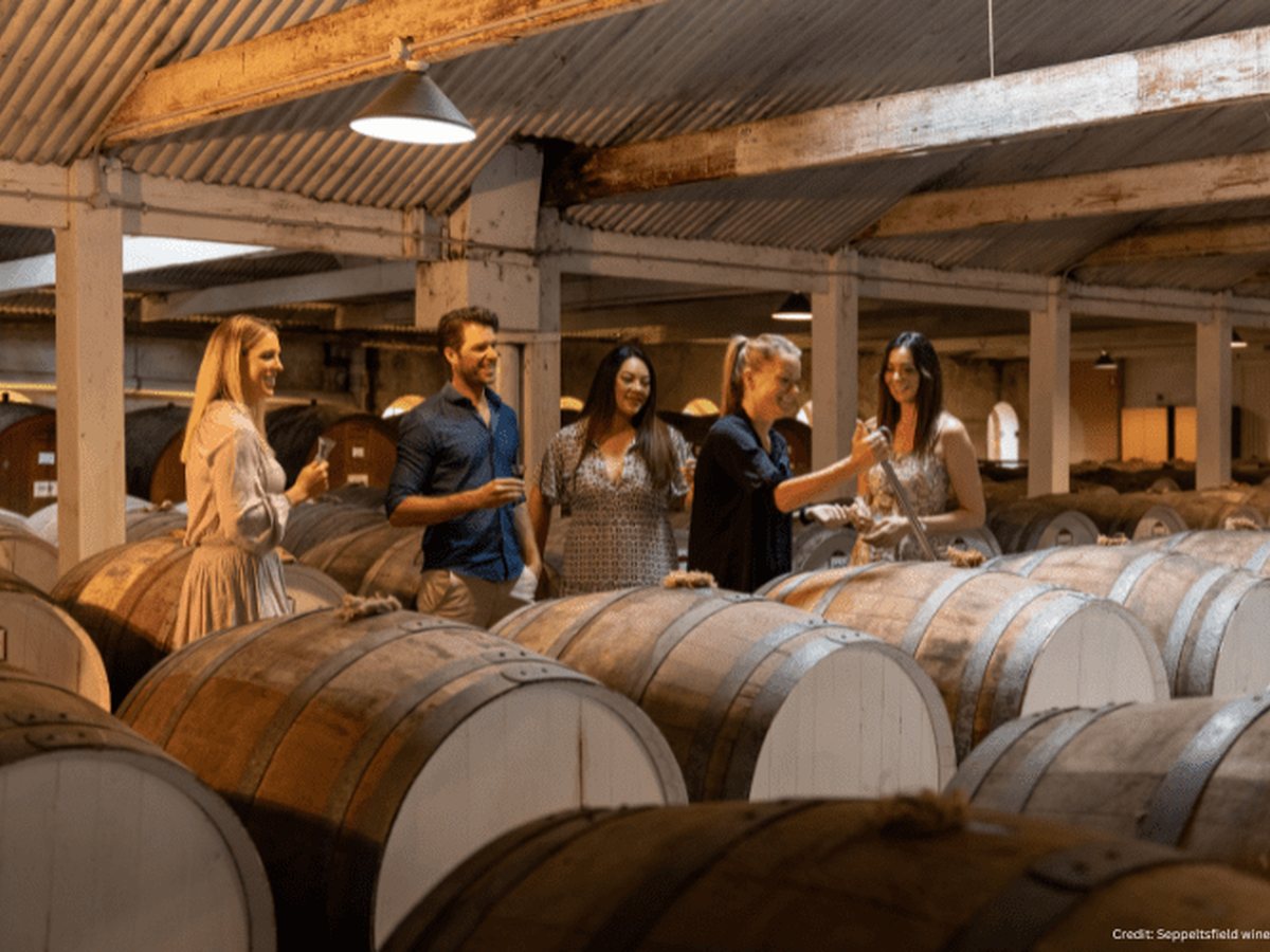 Voyage to the Vineyards